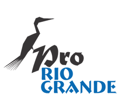 Pró Rio Grande