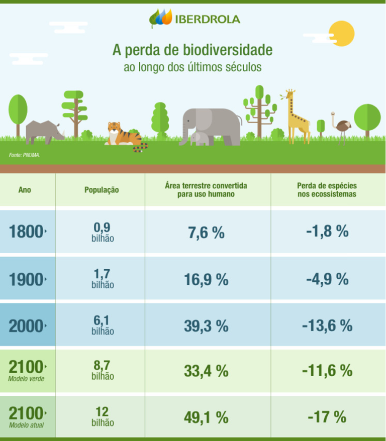BIODIVERSIDADE – Pró Rio Grande